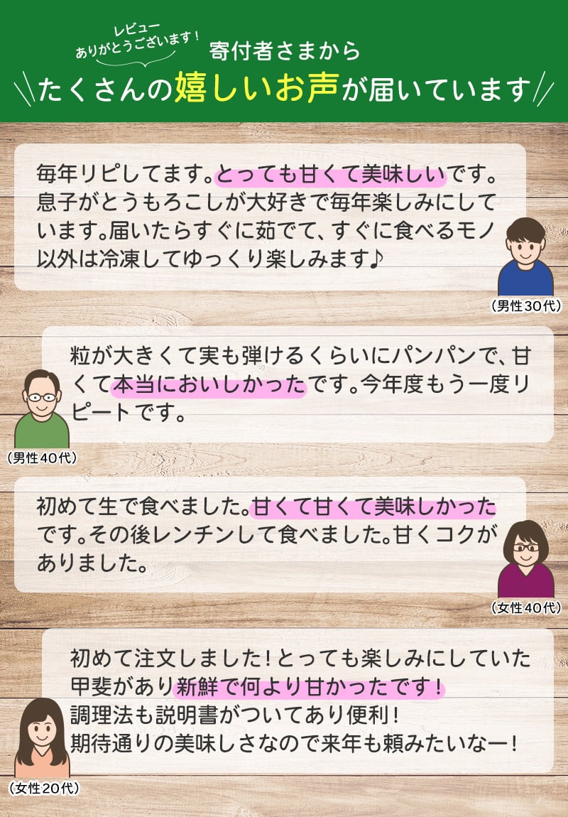 令和8年発送 北海道産 とうもろこし あまいんです6本 朝採れ 一番果 生食 産地直送 数量限定 期間限定