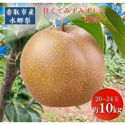 
「地元 水郷梨」新高梨1箱　約10Kg(20～24玉)【1056666】
