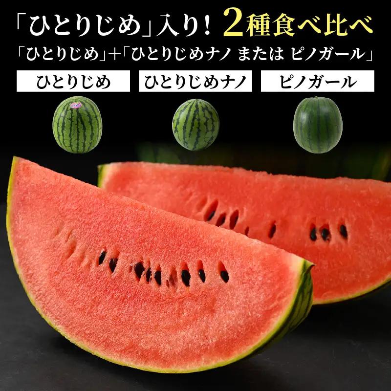 【先行予約】抜群の甘さ！佐藤農園の小玉スイカ 食べ比べセット(ひとりじめ+ひとりじめナノまたはピノガール) 2玉（計3kg以上）／ 秀品 農家直送 有機肥料 低農薬 ※2027年5月下旬～6月末の間に