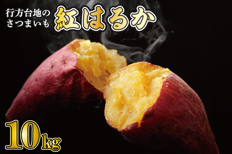 【2025年9月より順次発送】★訳あり★ 無選別 行方台地のさつまいも 紅はるか 約10kg｜さつまいも 芋 サツマイモ 紅はるか 訳あり わけあり 無選別 茨城県 行方市(CU-55-5)