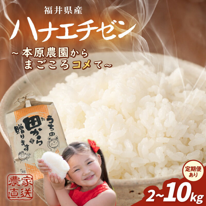 【ふるさと納税】 令和8年産・新米 ハナエチゼン 2kg / 5kg / 10kg 【選べる配送回数：単発 / 定期便】【白米・玄米選択可】 お米 白米 玄米 はなえちぜん 5キロ 精米 ブランド米 ごはん ご飯 おいしい ふるさと納税米 産地直送