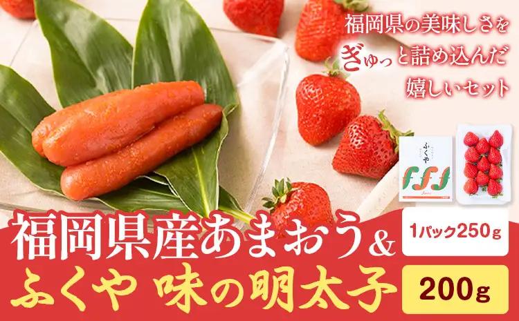 福岡県産あまおう(250g/1パック) & ふくや味の明太子 200g 南国フルーツ株式会社《2026年12月上旬-2027年3月末頃出荷》福岡県 鞍手町 あまおう いちご めんたいこ 明太子 セット