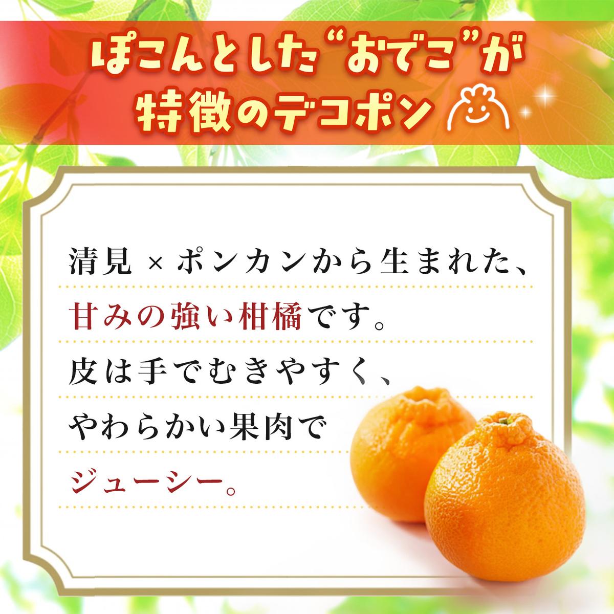 【2027年1月中旬より発送開始】不知火(デコポン) 約5kg【みかん 柑橘 清美 ポンカン フルーツ デザート】(H116137)