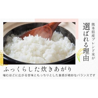 ふるさと納税 氷川町 【6ヶ月定期便】ひごみのり 無洗米 熊本県産 ブレンド米 10kg《お申込み翌月から出荷》