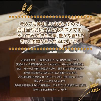 ふるさと納税 境港市 <令和7年産>原田農園の「きぬむすめ」(精米・5kg) |  | 01