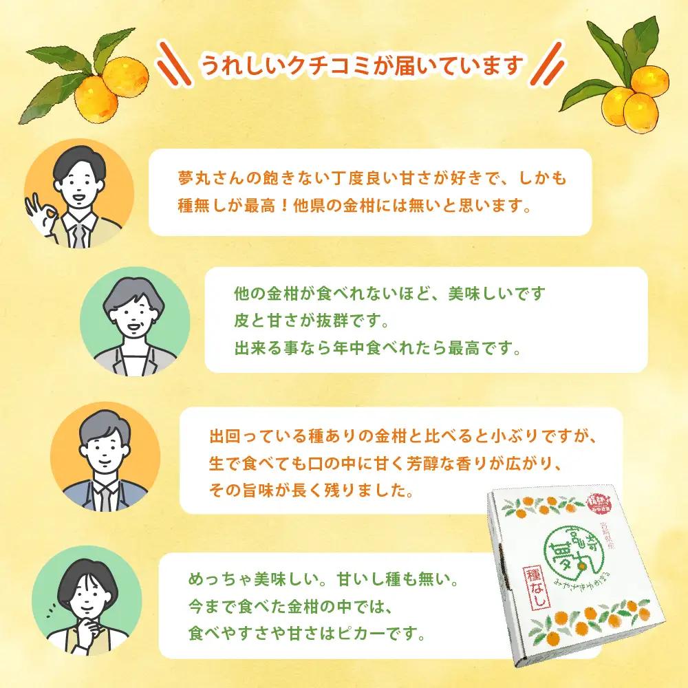 【先行予約】種なし きんかん「宮崎夢丸」 1kg 数量限定 種無し 果物 フルーツ くだもの 柑橘 金柑 プレミア おすすめ ギフト 贈り物 贈答 おやつ スイーツ デザート 糖度が高い 常温 産地直