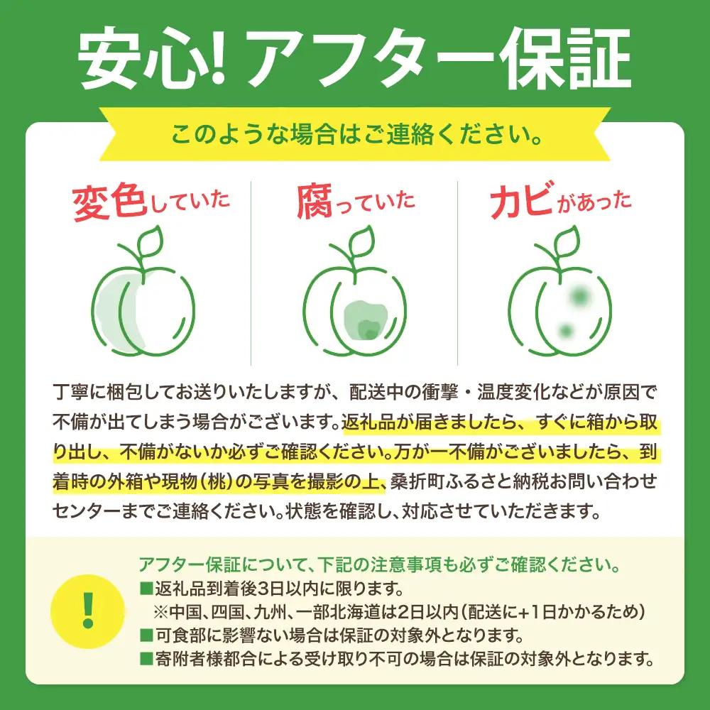 もも【川中島白桃・2027年産先行予約】特秀　5kg　桑折町産　JAふくしま未来　桃 ／ もも モモ 果物 フルーツ 旬 甘い 甘み ジューシー 果肉 果汁 新鮮 フレッシュ デザート おいしい 産地