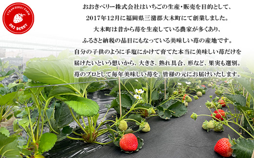 【2026年1月下旬～順次発送予定】福岡県産 あまおう 合計約540g 約270g×2パック【配送不可地域：離島】