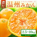 【ふるさと納税】「濃厚な味のとろける美味しさ」温州みかん 《先行予約》 10kg 5kg 2.5kg ふるさと納税 みかん ふるさと納税 みかん 予約 2024 ふるさと納税 みかん 甘い 和歌山 ミカン フルーツ 果物 くだもの 柑橘 人気 5キロ 10キロ 数量限定 期間限定 送料無料