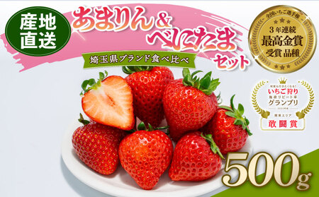 【予約】 あまりん べにたま 希少いちご 食べ比べ セット 500g いちご 苺 ロコファーム 埼玉県