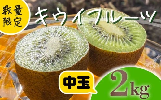 【先行予約】【12月上旬~順次発送】キウイ フルーツ 無農薬 グリーンキウイ 腸活 健康 甘い 手でむける キウイフルーツ みつばちキウイ 中玉 2kg 栽培期間中農薬・化学肥料不使用 デザート 果物 くだもの 国産 愛知県 南知多町 【配送不可地域：北海道 青森 秋田 岩手 沖縄 離島】