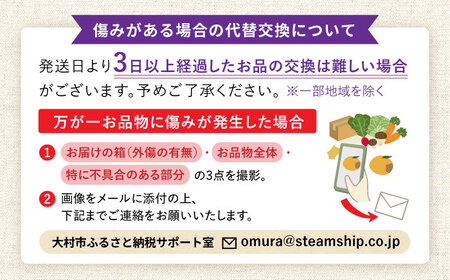 【2024年7月中旬頃より順次発送予定】生ブルーベリー 1kg（250g×4袋）/ ベリー ブルーベリー 生 小分け 果物 フルーツ / 大村市 / おおむら夢ファームシュシュ[ACAA005]