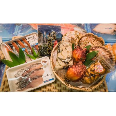 ふるさと納税 宮古市 【三陸厳選】岩船商店おまかせ海産物詰め合わせセット