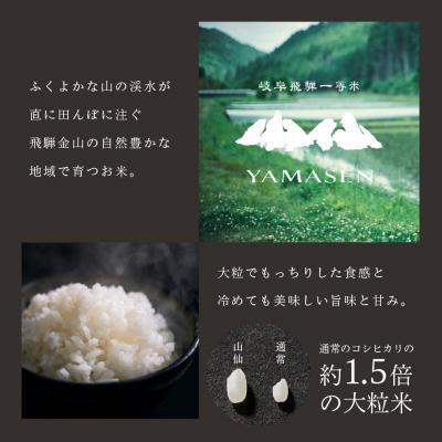 ふるさと納税 下呂市 【令和7年産】【定期便】山仙(いのちの壱)2kg×2袋×6回 すがたらいす【51-T】 |  | 01