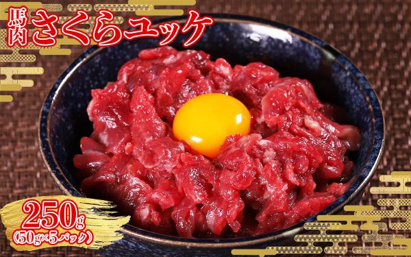
                  本場熊本 馬肉 さくらユッケ 250g (50g×5) 1食分ずつの個包装で便利！ユッケ 馬刺し 桜ユッケ 小分け 個包装 ヘルシー おつまみ 晩酌 熊本県 水上村
                