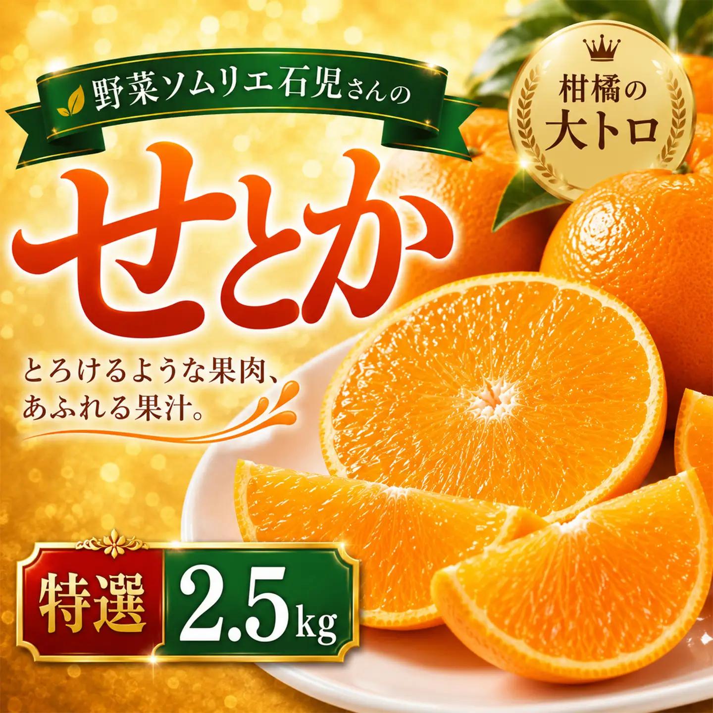 【2027年先行予約】 せとか 特選 2.5kg 柑橘 先行予約 野菜ソムリエ石児さん 豊予農場  ＜103-015＞