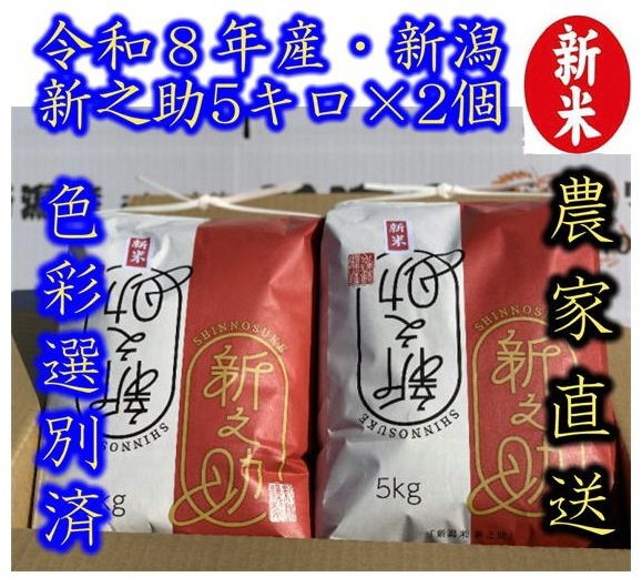 
                  【令和8年産新米】 新潟県産「新之助」 白米 10kg（5kg×2袋） 阿賀野市産 中島農場 精米 新潟県 米 こめ コメ お米 ごはん ご飯 農家直送 色彩選別済 新米 新米予約 令和8年産 9月下旬より順次発送  3R09029
                