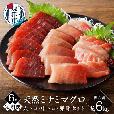 ふるさと納税 焼津市 【定期便6回】キボシ水産 天然南鮪 大トロ 中トロ 赤身食べ比べ約1kg×6回(b200-035)