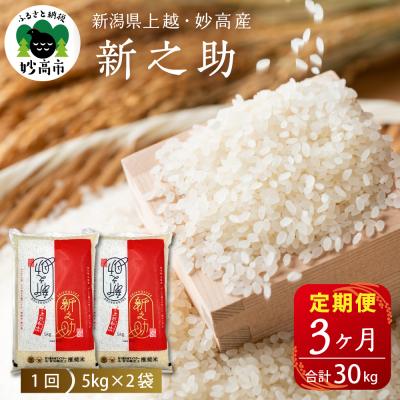 ふるさと納税 妙高市 【2026年2月中旬発送】【定期便】令和7年産新潟県上越・妙高産新之助10kg×3回(計30kg)