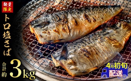 訳あり トロ 塩サバ フィレ 約3.0kg 鯖 さば 訳アリ わけあり 切り身 切身 塩さば 塩鯖 フィレ フィーレ 魚貝 魚介 人気 冷凍 冷凍食品 大容量 海鮮 家庭用 レシピ おかず おつまみ 惣菜 弁当 不揃い 規格外 傷 味噌煮 煮付け 竜田揚げ 南蛮漬け グルメ 贈答 贈物 ギフト 長期保存 小分け 炊き込み お取り寄せ ふるさと納税 ふるさと納税鯖 送料無料 千葉県 銚子市 飯田商店
