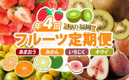 ＜定期便・年4回＞旬の福岡 フルーツ定期便(あまおう1kg/とよみつひめ1.2kg/早味かん3kg/甘うぃ3.6kg) いちご 苺 あまおう いちじく イチジク 無花果 みかん ミカン 蜜柑 キウイ あまうい 甘うい フルーツ 果物 定期便 頒布会 【農産物直売所ほたるの里】as52-033