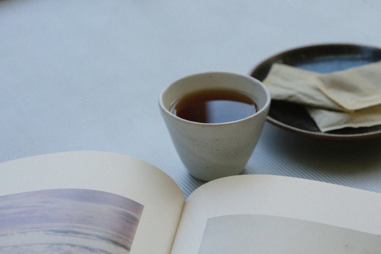 【ふるさと納税】【自然栽培】鳳次郎ほうじ茶ティーバッグ 農薬肥料不使用