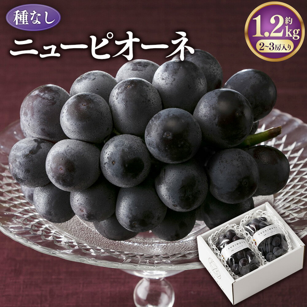 【ふるさと納税】ニューピオーネ 1.2kg（2～3房） ぶどう ブドウ 葡萄 くだもの 果物 果実 フルーツ 種なし 大粒 甘味 冷蔵 岡山県産 国産 岡山県 美咲町 送料無料 【2026年8月下旬-9月下旬発送予定】