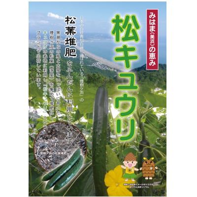 ふるさと納税 日高町 松きゅうり　5kg |  | 03