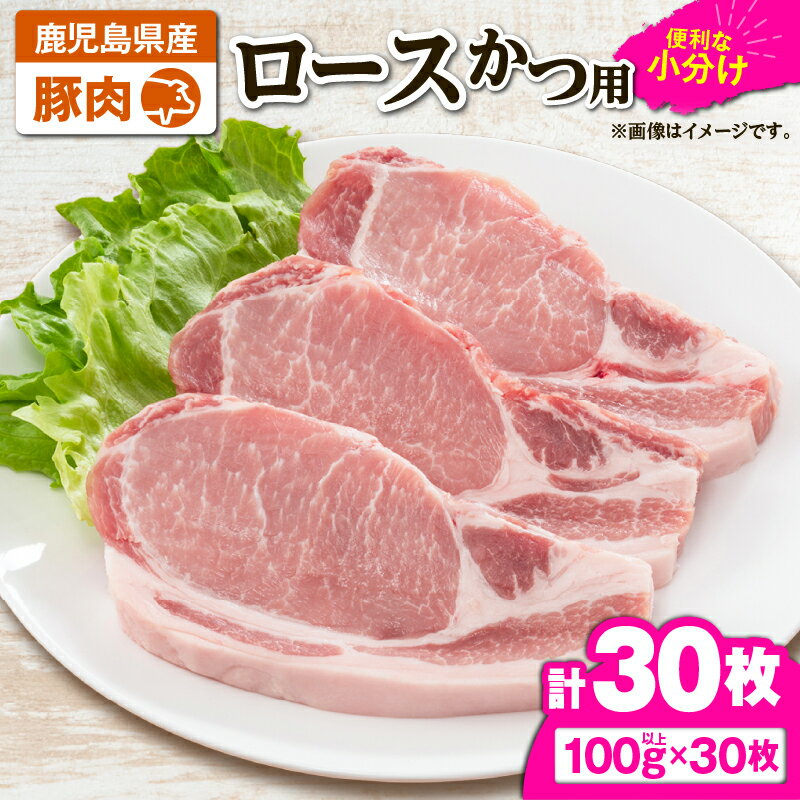 【ふるさと納税】豚肉ロースカツ用30枚セット[3kg以上（100g以上×30枚）]国産 鹿児島県産 豚肉 豚 ロース 豚ロース トンカツ ロースカツ ステーキ 小分け 冷凍 冷凍保存【株式会社 TRINITY】