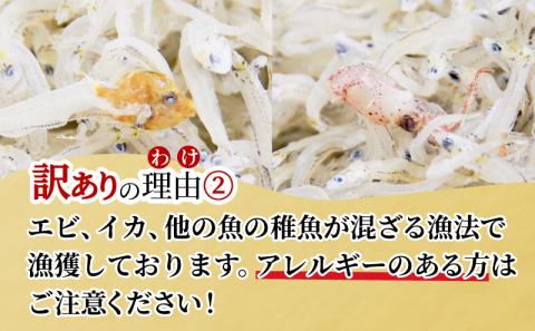 訳あり ちりめん 1kg しらす干し 産地直送 冷蔵 ちりめんじゃこ 魚介 乾物 (大人気ちりめん 人気ちりめん ちりめん 小分けちりめん おつまみちりめん  おかずちりめん 冷蔵ちりめん)