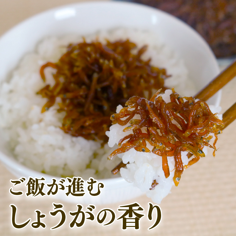 【定期便6回】土佐しらす 佃煮 150g 小分け 冷凍配送 国産 おかず 惣菜 お米 に合う 魚介 小魚 鮮魚 海鮮 ちりめんじゃこ おつまみ 産地直送