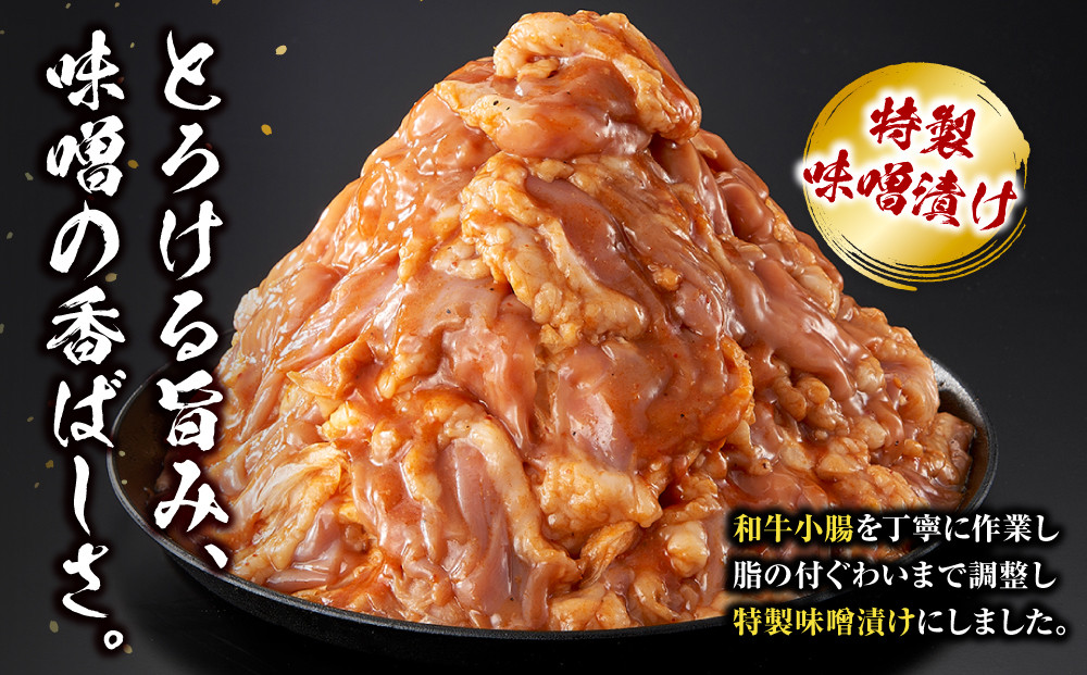 ＜訳アリ＞和牛トロホルモン　特製味噌漬け　1.8kg(300g×6）【順次発送】