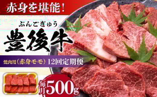 【全12回定期便】おおいた豊後牛 赤身モモ 焼肉用 500g 日田市 / 株式会社MEAT PLUS 牛肉 おおいた豊後牛 おおいた 豊後牛 黒毛和牛 国産 赤身 モモ もも 焼肉 焼肉用 和牛 [AREI094]