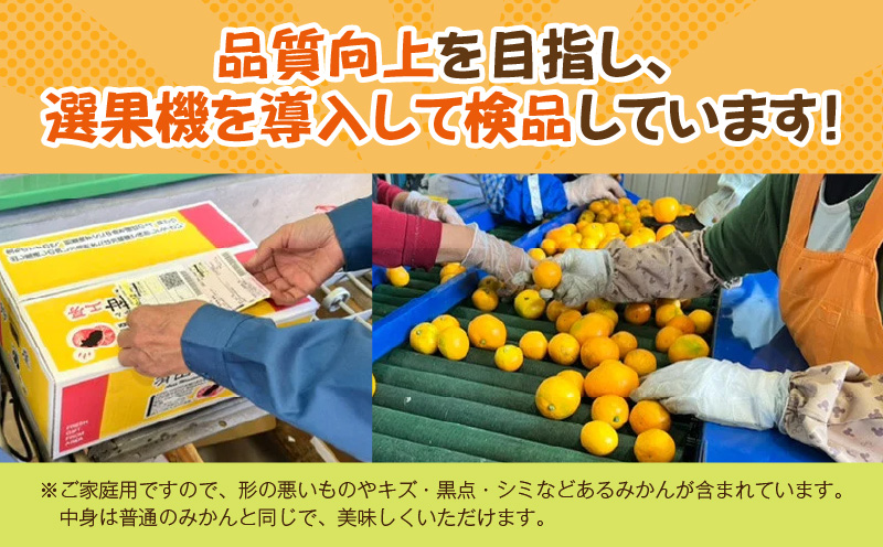 ZJ6097_【2025年先行予約】ご家庭用　和歌山 有田みかん 約5kg (SS、Sサイズ)【湯浅町】