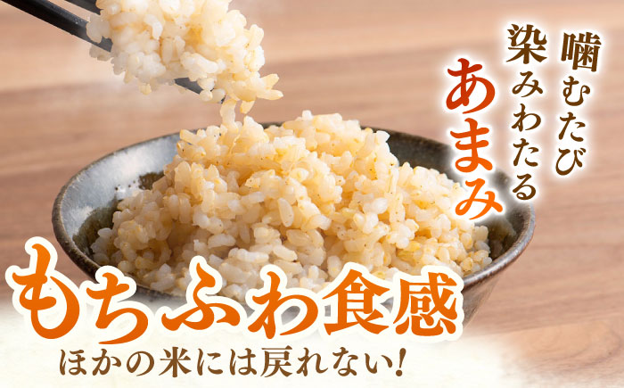 ももちゃんちのお米 さがびより 玄米 30kg【ももさき農産】特A米 特A評価 [HCG014]