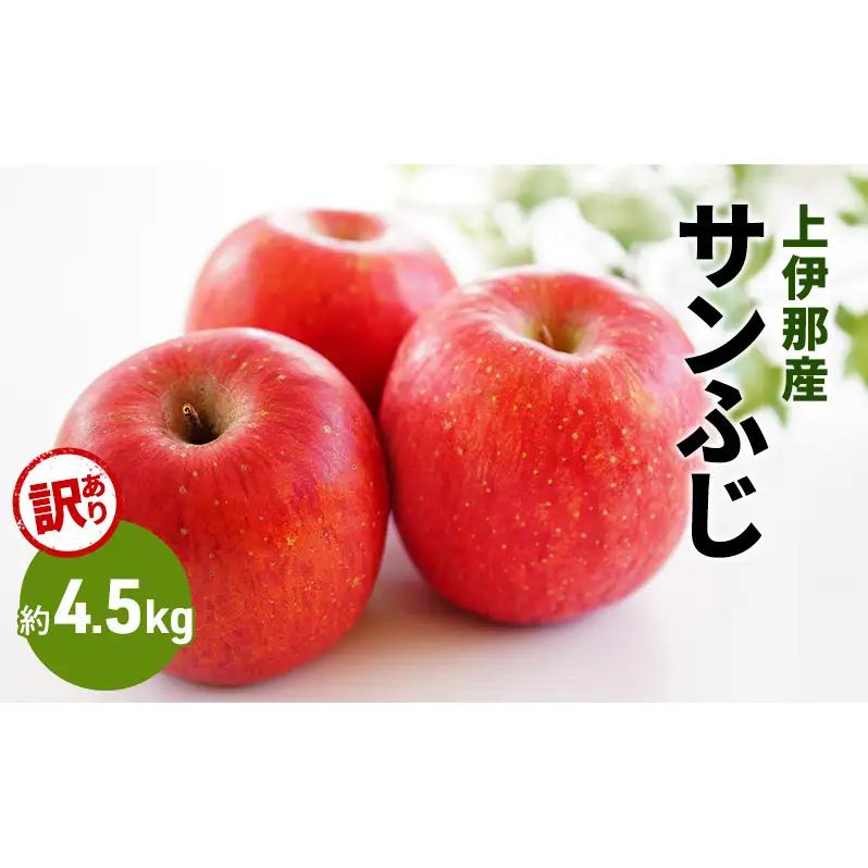 りんご 訳あり サンふじ 4.5kg りんご