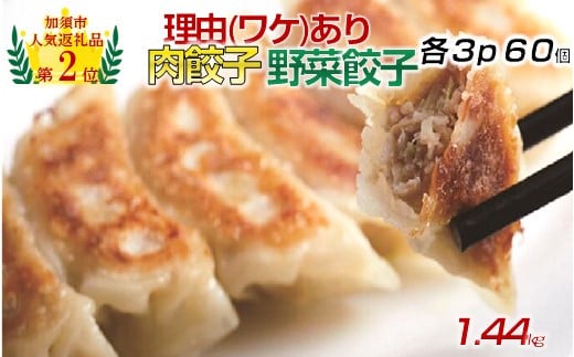 【訳あり】「冠生園」の食べ比べ餃子セット（冷凍　肉・野菜餃子）：6パック