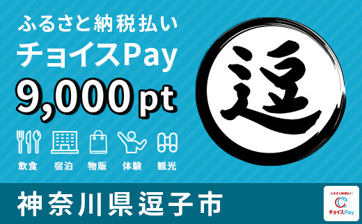 
[№5875-0392]逗子市 チョイスPay 9,000ポイント【会員限定のお礼の品】
