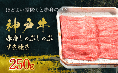 神戸牛 赤身しゃぶしゃぶすき焼き 250g (AG044) 兵庫県 朝来市 AS36BB55 / 神戸牛 神戸ビーフ 神戸肉 黒毛和牛 国産和牛 ブランド和牛 牛肉 牛 肉 お肉 おにく 赤身 しゃぶしゃぶ しゃぶしゃぶ用 しゃぶしゃぶ肉 すき焼き すきやき すき焼き用 すきやき用 すき焼き肉 すきやき肉 牛しゃぶ 牛しゃぶしゃぶ 牛すき 牛すき焼き 牛すきやき 薄切り うす切り うすぎり