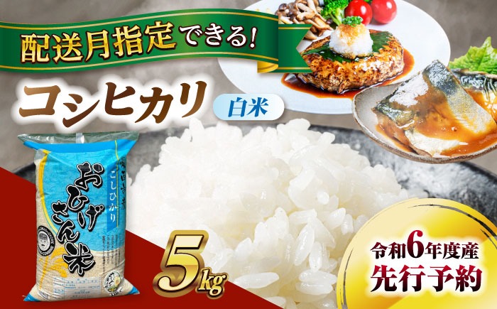 コシヒカリ　白米　5kg　米　お米　ご飯　愛西市/脇野コンバイン[AECP021]