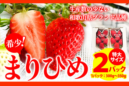 ＜先行予約＞希少！まりひめ　特大サイズ　約300g～350g×2パック きよ農園《2025年2月上旬-3月下頃出荷》 いちご 苺 まりひめ フルーツ 果物 スイーツ 送料無料