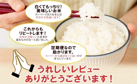 ゆめぴりか 精米 北海道産 特A ゆめぴりか【5kg】【定期便 12ヶ月連続12回】