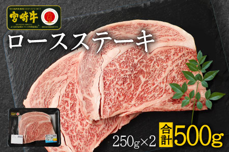 ＜焼肉・バーベキュー＞宮崎牛ロースステーキ(250g×2枚) ※90日以内に発送【C270-24】