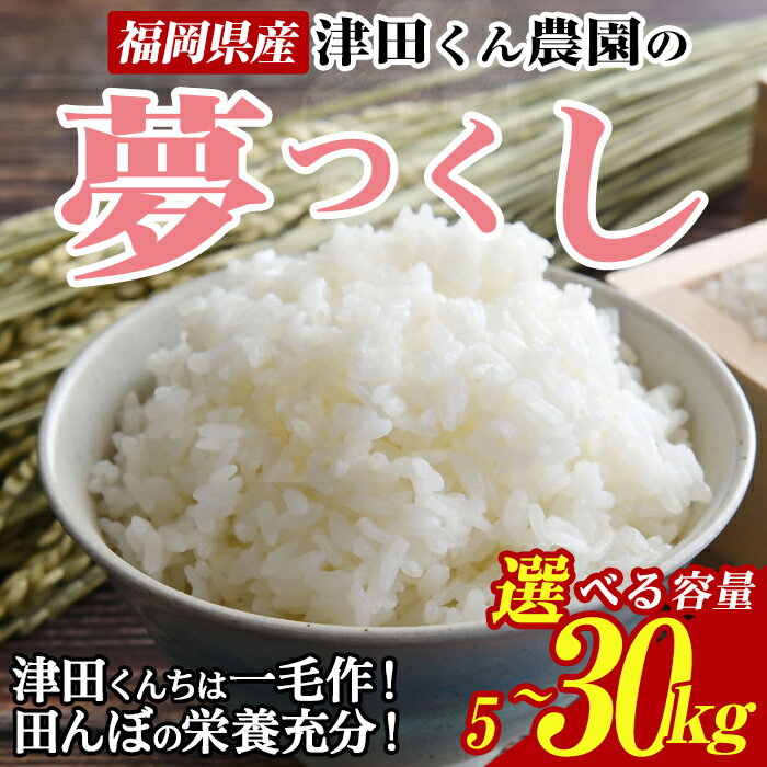 【ふるさと納税】＜容量が選べる・先行予約受付中！2025年10月から2026年4月末にかけて順次発送予定＞津田くん農園の夢つくし(5～30kg) お米 白米 5キロ 10キロ 30キロ ごはん ご飯 【ksg1327・ksg1328・ksg1329】【くしだ企画】