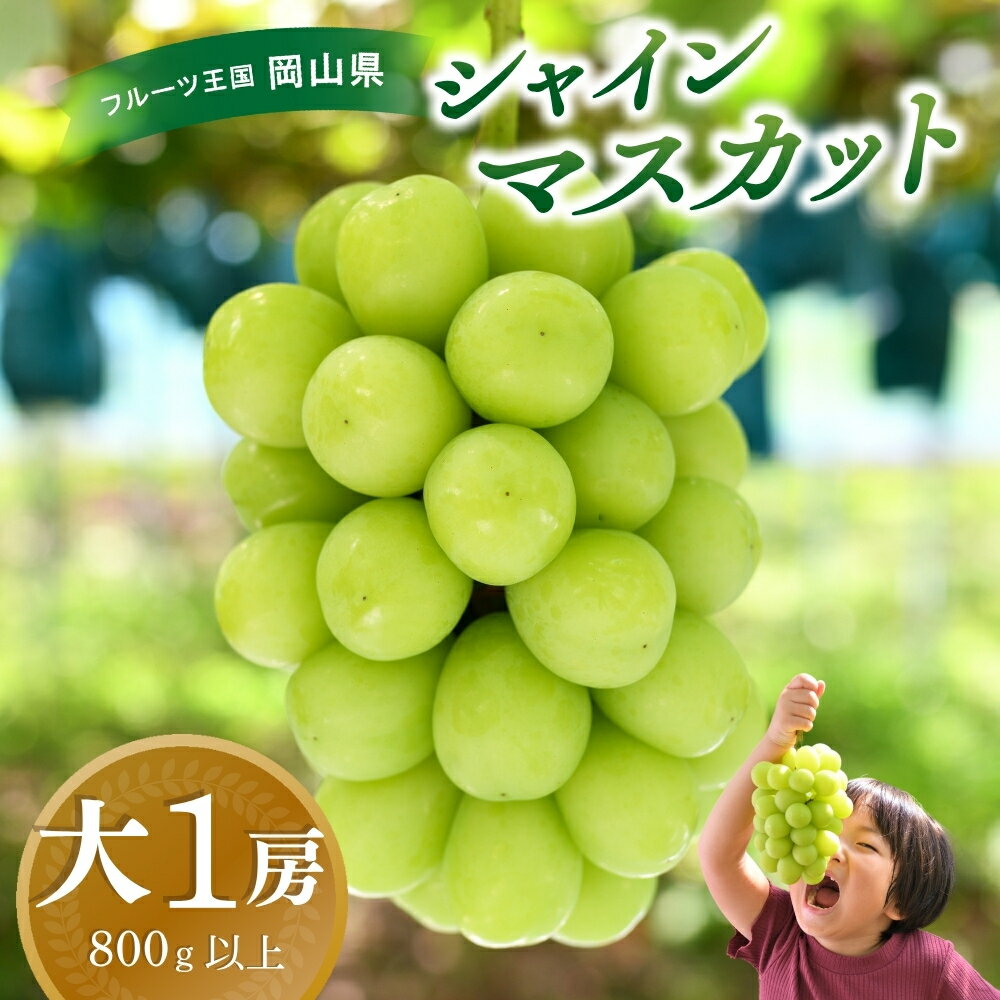 【ふるさと納税】 岡山　花笑み農園のブドウ 『シャインマスカット』800g以上(大1房)S-大1 hana34 【2025年9月下旬～順次発送】【配送不可地域：離島】 真庭 国産 産地直送 フルーツ 葡萄 果物 贈答 ギフト 先行予約 おすすめ 大人気 ぶどう 【1393974】