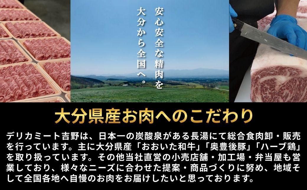肉屋のまかない豊後牛カレー230g (20袋) レトルトカレー 大分県 国産 黒牛 和牛 牛肉 ビーフ パック ご当地カレー おかず 惣菜 簡単調理 湯煎調理 おおいた豊後牛