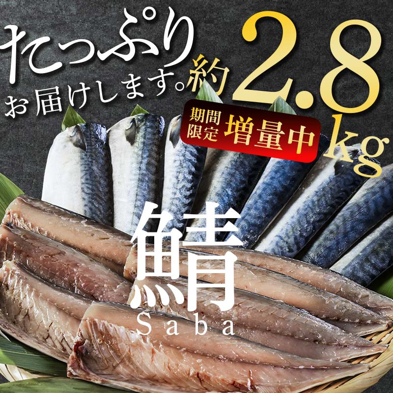 北海道産 無添加 塩さばフィレ約2.8kg＜釧之助 ご飯に合うおかずの定番＞ 北海道 笹谷商店 釧之助 無添加 天然 F4F-8043