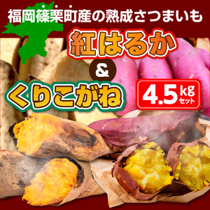 篠栗町産の熟成さつまいも「紅はるか」「くりこがね」４.５㎏セット　YX005