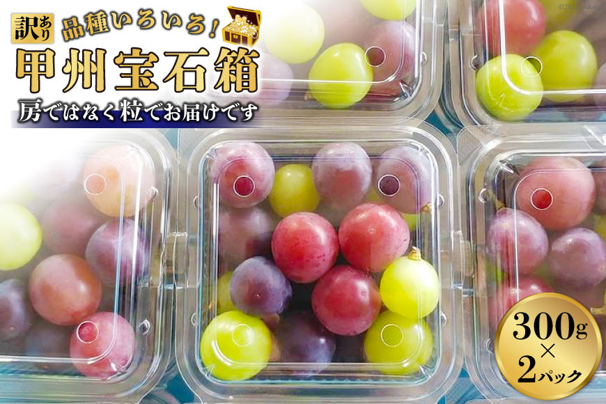 
            【2025年発送】【訳あり】品種いろいろ！甲州宝石箱 300g×2パック [モリモリファーム 山梨県 韮崎市 20742845] フルーツ 果物 葡萄 ブドウ 食べ比べ 詰合せ 期間限定 季節限定 冷蔵
          