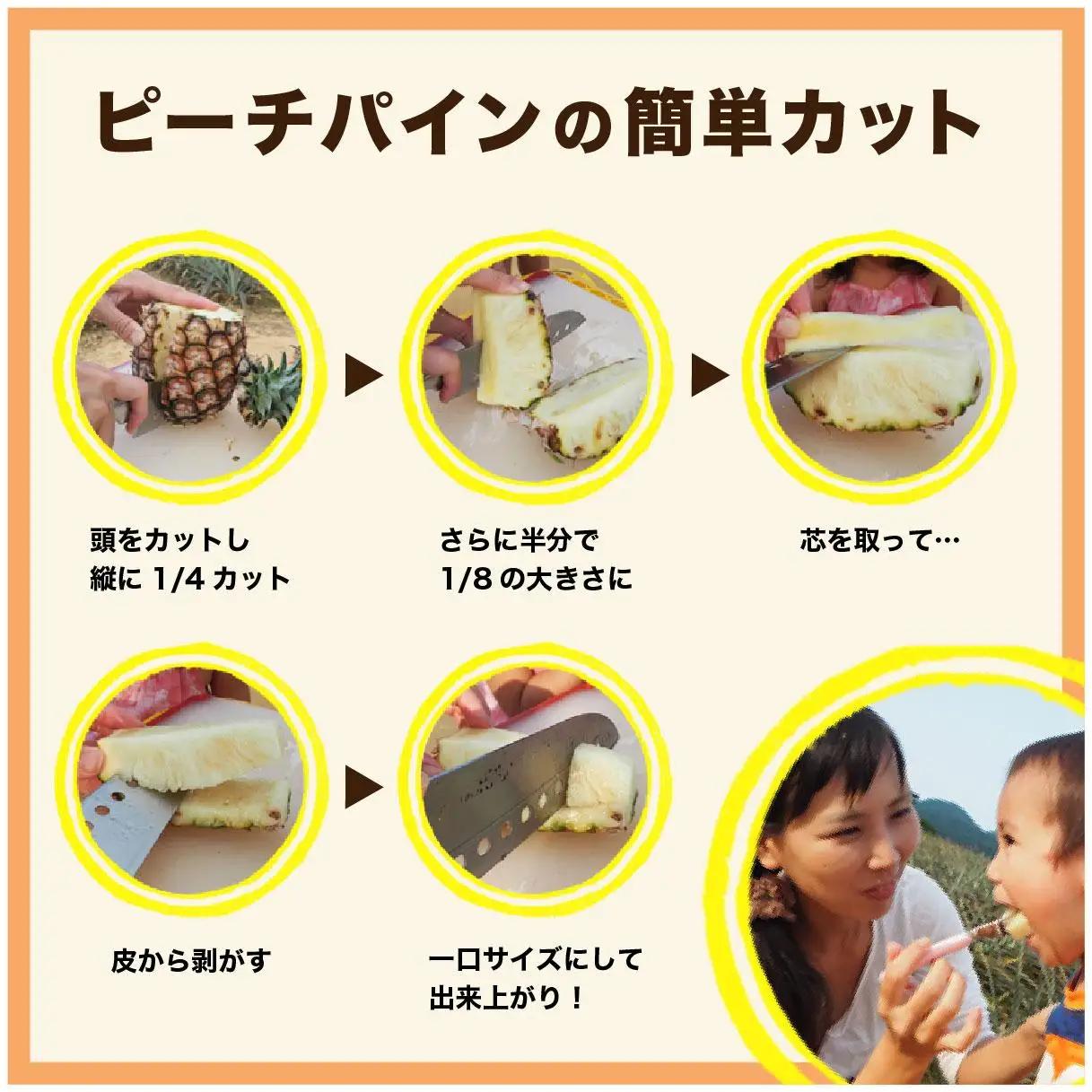 【2027年 先行予約】ピーチパイン 約11kg 